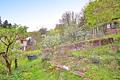 Mehrgenerationenhaus mit Denkmalschutz und großem Garten in Bad Herrenalb – Sanierungsobjekt - Garten