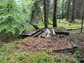 Freizeit-/Waldgrundstück in Ortsrandlage - Grundstück 1295_47 Überreste einer Holzhütte