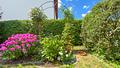 Herrliche Gartenwohnung mit Südloggia | großer Hobby-/Büroraum mit Duschbad | Carport - Garten Detail