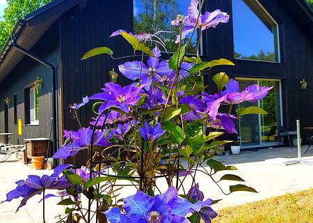 Hier trifft die Moderne auf die Tradition! Tolle Haus in herrlicher Naturlandschaft, 30 Minuten von Karlstad