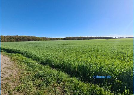 3,3 ha Ackerland bei Chörau und Dessau Mosigkau - Acker bei Chörau