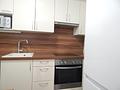 2-Zimmer-Wohnung in Freilassing mit Balkon & Holzofen – gepflegt und vermietet - Küche - Bild 2