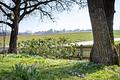Mehr Platz. Mehr vom Leben. Vielseitiges Ein-/Zweifamilienhaus mit Mehrwert - Blick in den Garten