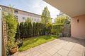 Bogenhausen: Sonnige Gartenwohnung mit Süd-West-Ausrichtung - Süd-Terrasse