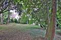 Grünes Paradies in Top-Lage Heidelberg-Schlierbach: Bestehendes Haus sanieren oder neu bauen - Garten