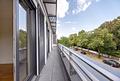 Nymphenburger Parkidylle trifft Penthouse-Chic - Weitblick ins Grüne