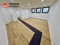 Raumwunder *ca. 160 m² Wohn- und Nutzfläche auf zwei Ebenen*Naturschutzgebiet* - Zimmer 2 Souterrain
