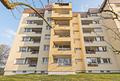 Frei für Ihre Pläne! Helle 2-Zimmer Wohnung mit Loggia - 4. OG mit Loggia