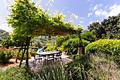 Mallorca Finca in Alleinlage mit exclusiver Olivenölproduktion und touristischer Vermietungslizenz in Esporle - IMG_7532