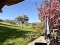 Samerberg sonniger Logenplatz - inklusive Panoramablick - Weite fühlen - Ruhe finden - Blick von der Outdoor Küche