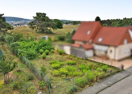Großes Grundstück mit mehreren Bebauungsmöglichkeiten in beliebter Wohnlage - Direkt an der Düne