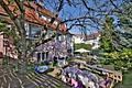 Langjährig vermietet & zentral: Zweifamilienhaus mit Sanierungsbedarf in Birkenfeld - Garten