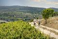 2 - stöckige Neubauvilla im Minthis Resort - Nature_vineyards