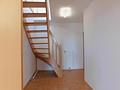Osburg zwischen Schweich und Hermeskeil - moderne 4 Zi. Maisonette Whg.- hoch oben: Ihr neues Wolkenguckmalheim - DW2-7 Diele