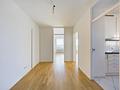 verfügbar ab 01.08.2026  - schöne 3 Zimmer Wohnung mit 2 Balkonen und  Alpenblick  I EBK I TG I - Flur