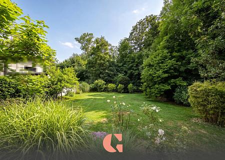 Seltenes Baugrundstück in absolut sonniger Südlage - Grundstück