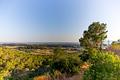 Riesige historische Finca mit ca. 4.000 bebauter Fläche und 1.200.000 m² Land in der Nähe von Palma