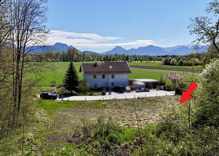 Schönes Baugrundstück in Seenähe bei Happing - Grundstück West - Blick zum Grundstück