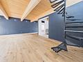 Raumwunder mit 541 qm Nutzfläche ideal für Gewerbe und/oder Wohnen - Großzügiges Loft im EG