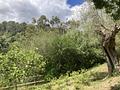 Idyllische Villa mit Wald, Garten und Pool im Herzen von Puigpunyent