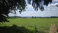Wald, Weitblick, Werte – ca. 1,9 ha gepflegter Waldbestand mit Alpenpanorama - www.remax-prime.de