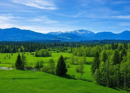 Naturnah leben und wohnen in Obermaxkron - Ausblick